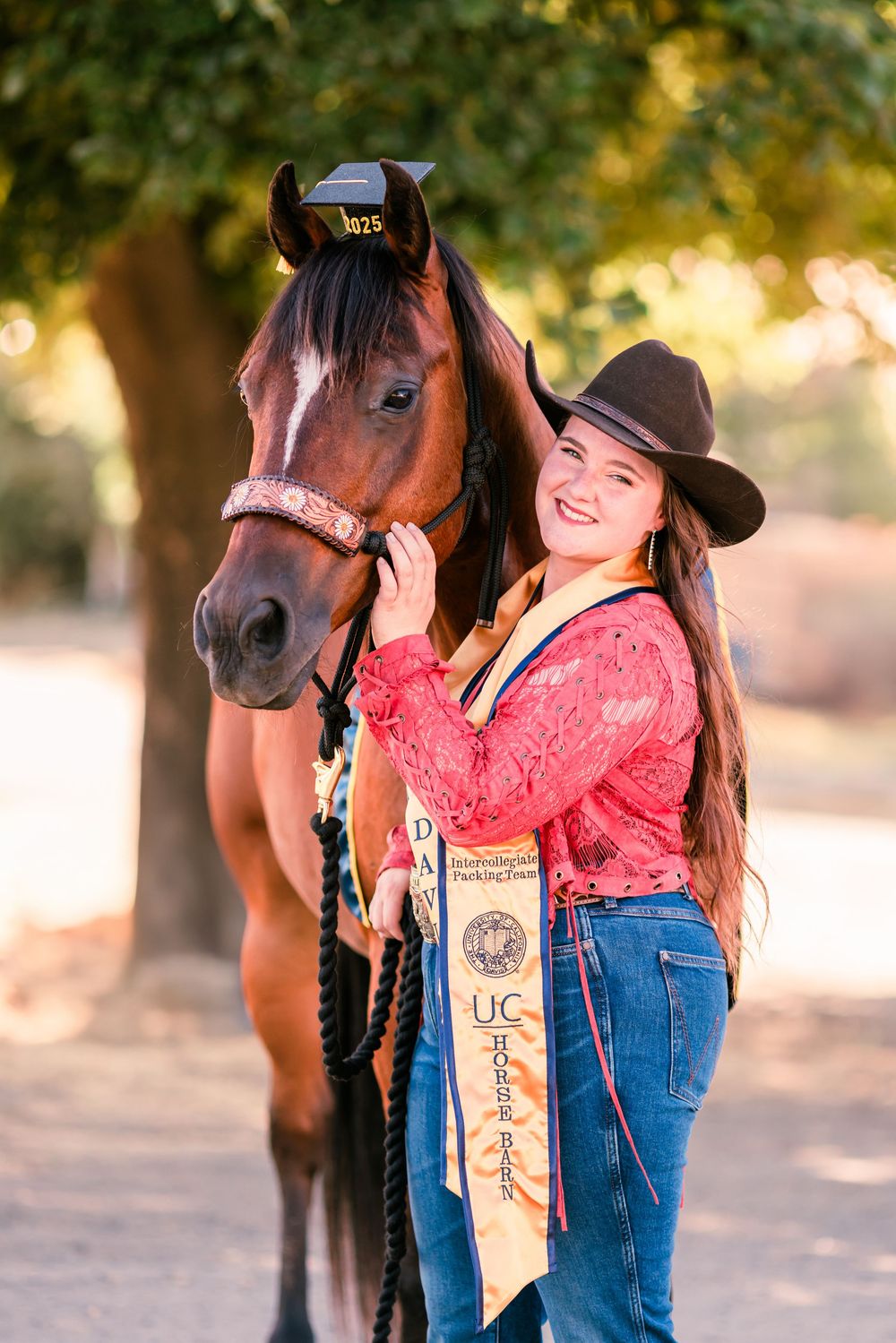 A beautiful bay horse stands next to someone wearing western attire and a championship sash.