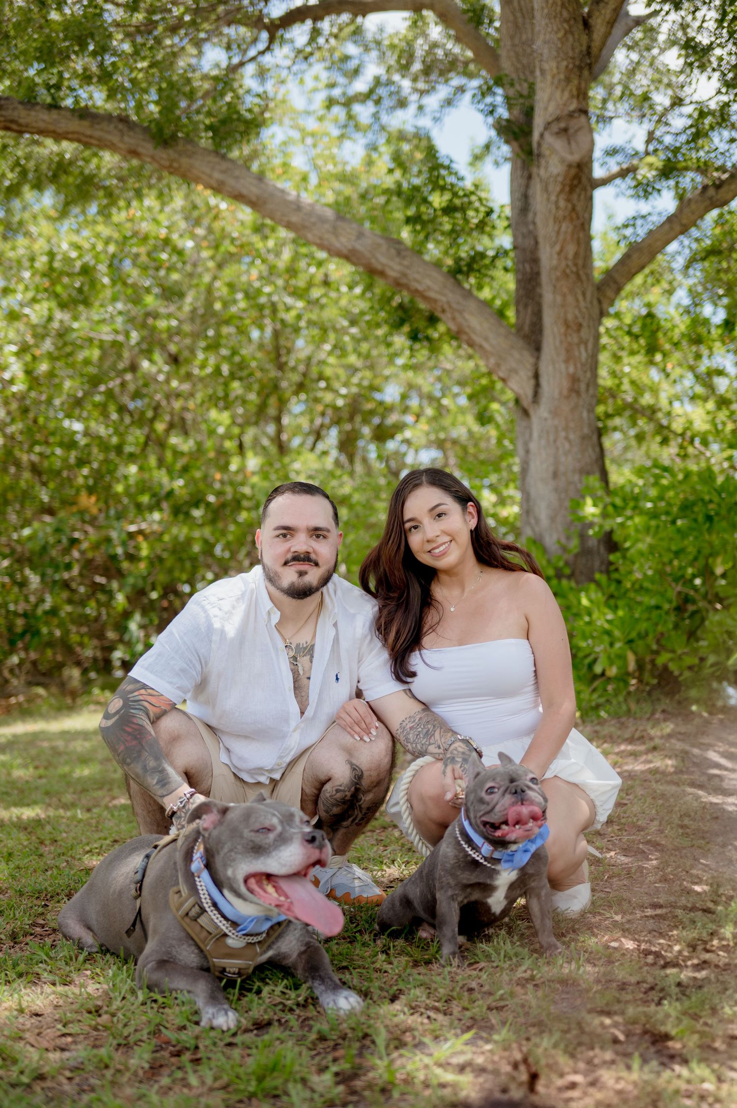 A couple in white outfits sits outdoors on grass with their two gray pit bull dogs wearing bandanas in multiple poses.