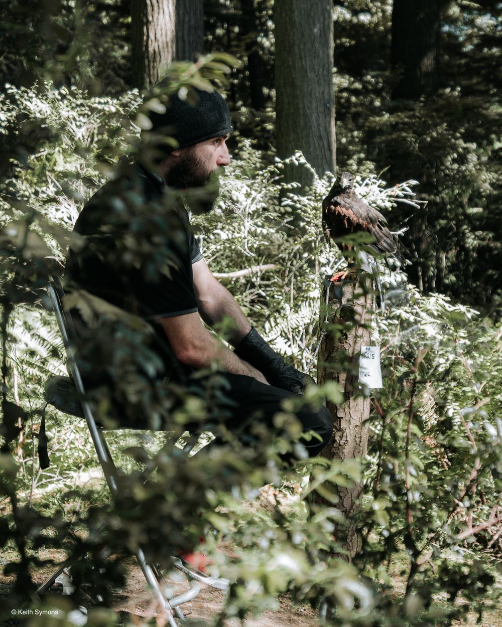 Military personnel in camouflage gear crouches in dense forest undergrowth while on patrol or training mission.