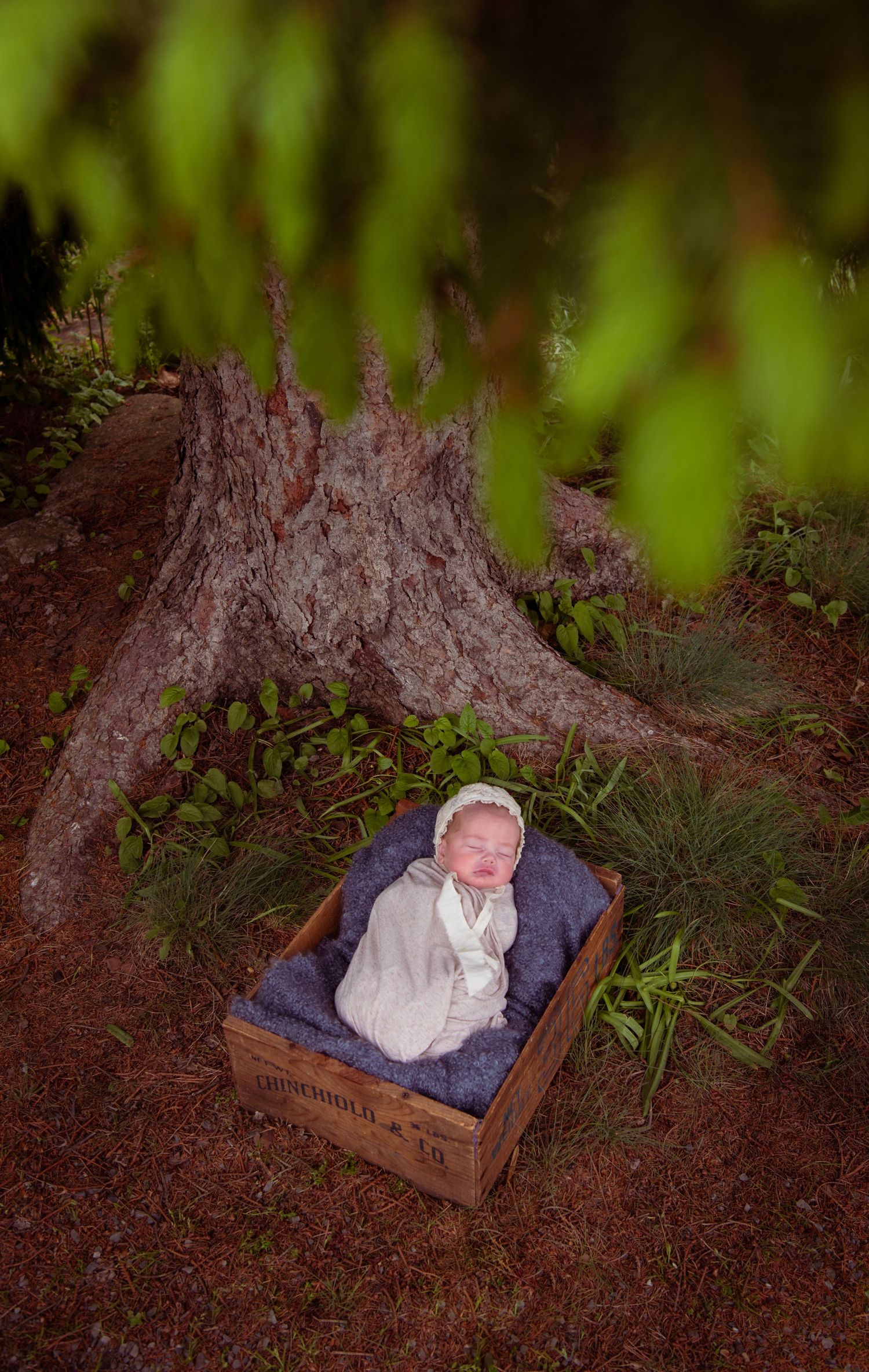 A small sleeping baby wrapped in white rests in a rustic wooden box against a tree stump with green foliage in background.