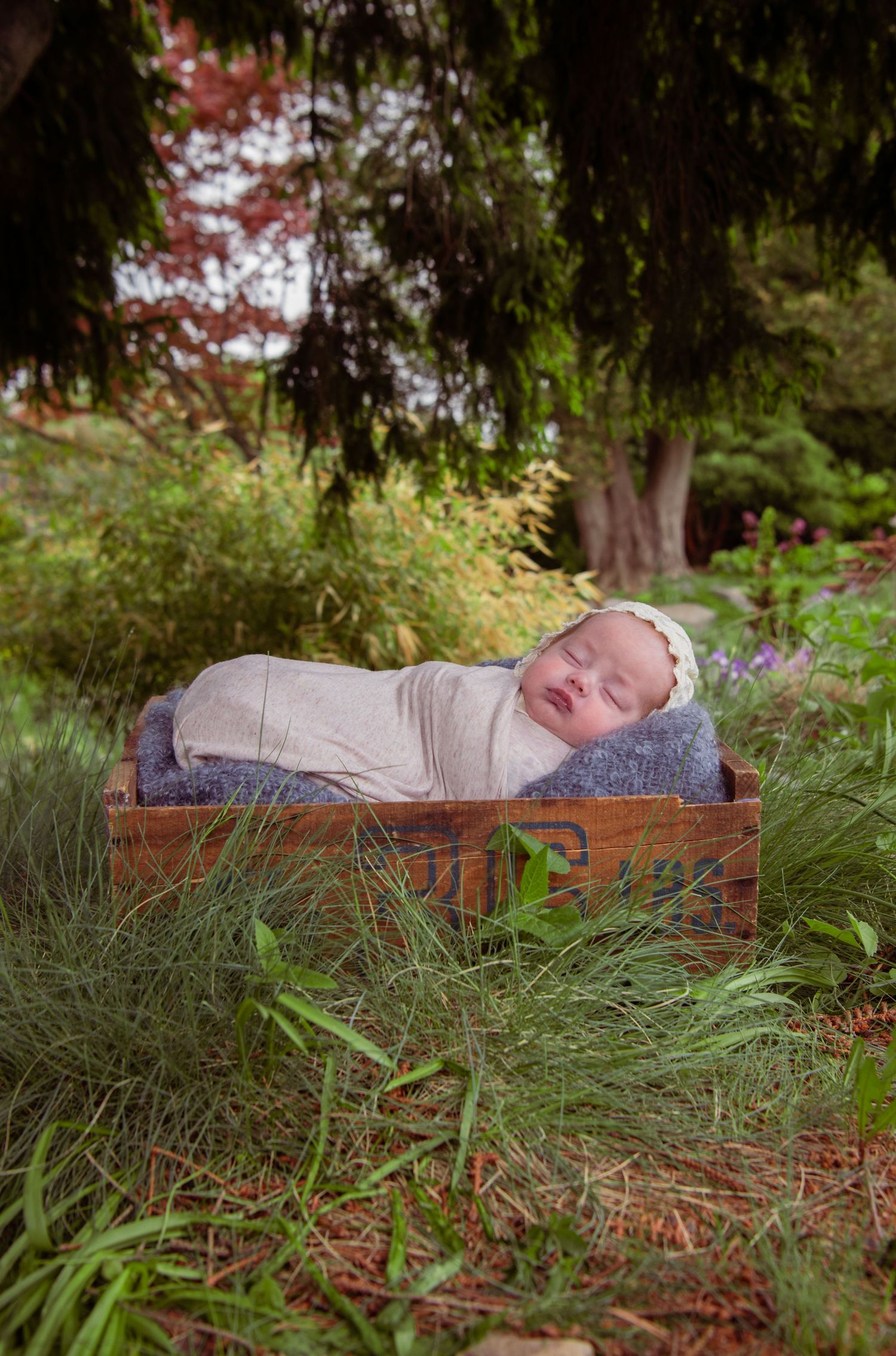 A sleeping newborn wrapped in a light gray swaddle rests peacefully in a rustic wooden box outdoors among green grass and trees.