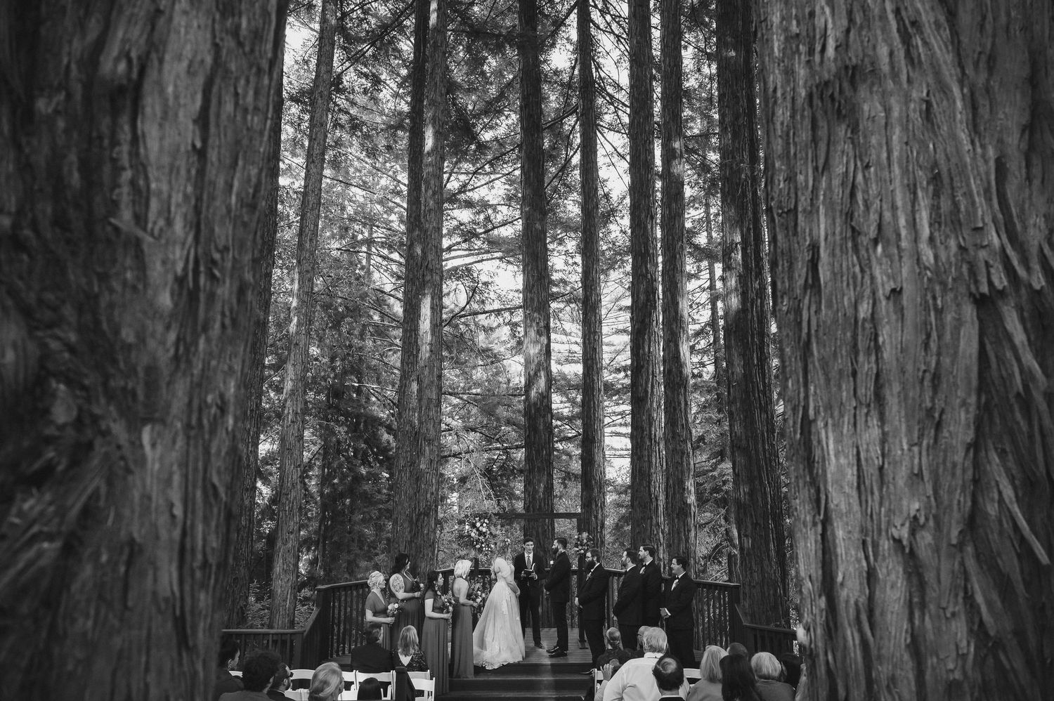 A wedding ceremony takes place in a majestic redwood forest grove with tall ancient trees towering overhead.