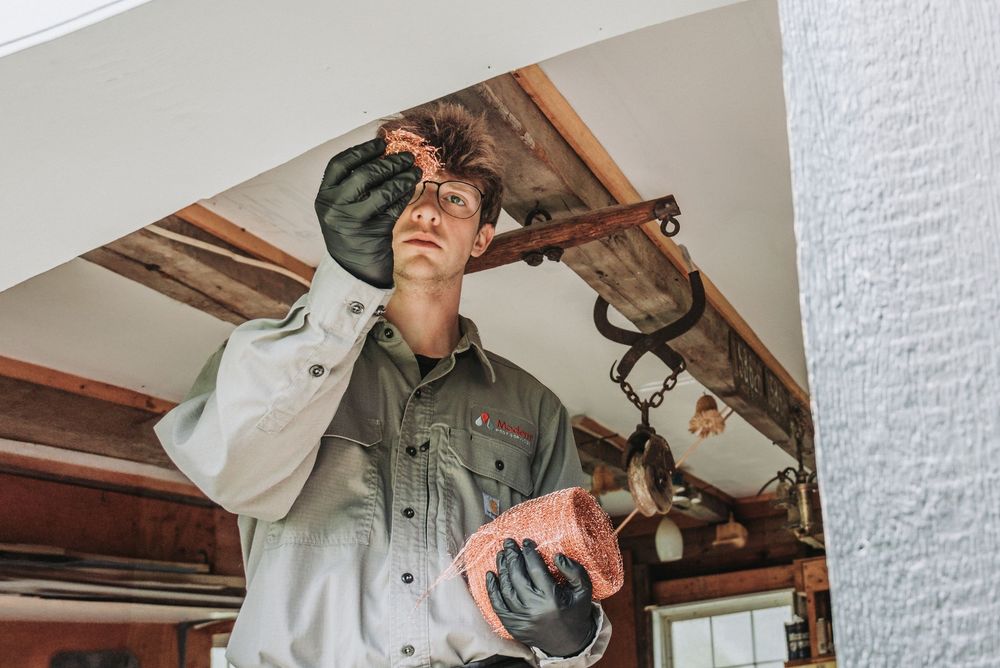 A Modern Pest Control Tech in utility uniform placing copper mesh into insulation in a shed to held prevent critters from getting in.