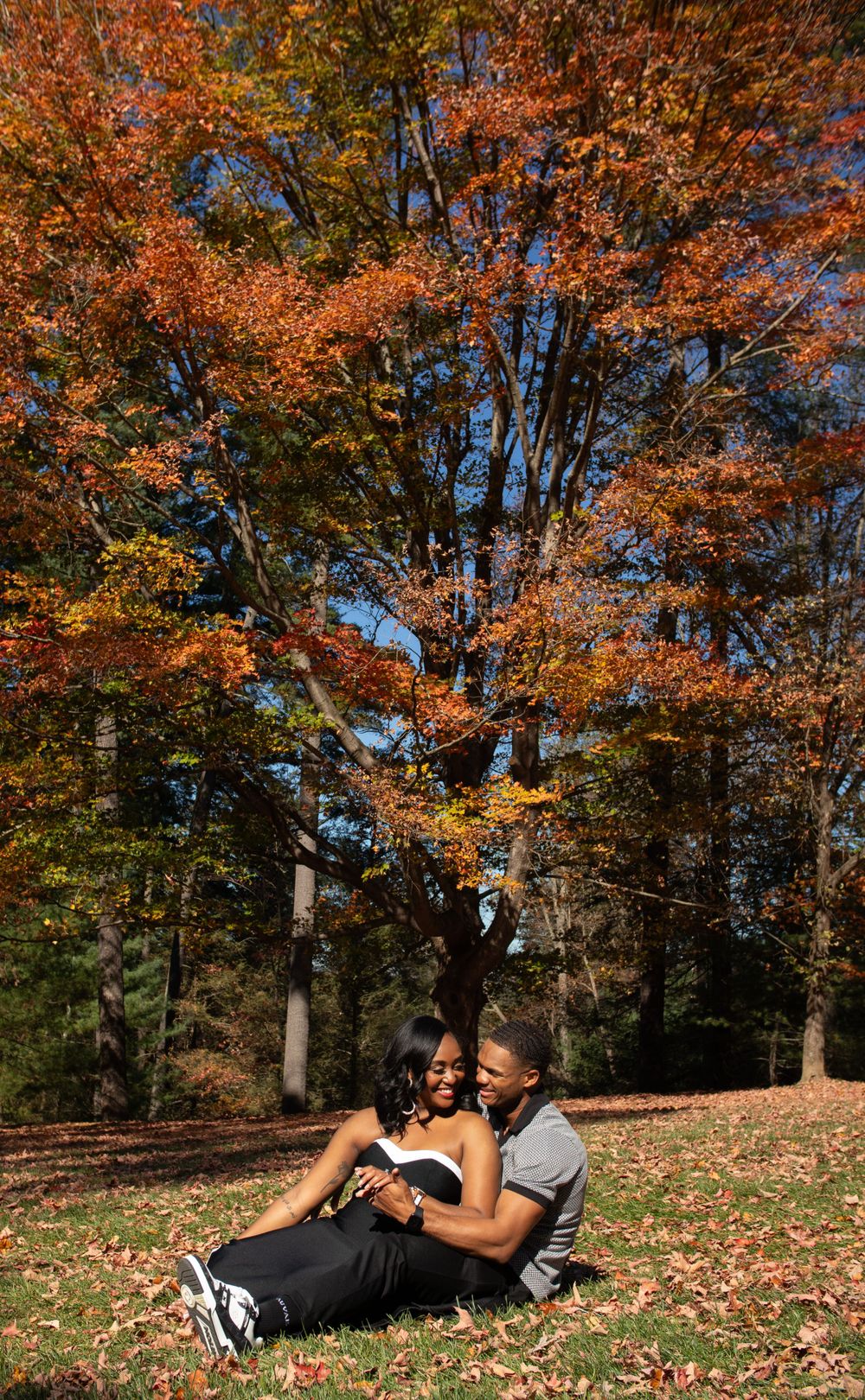 A couple sits under vibrant fall foliage trees with orange leaves.