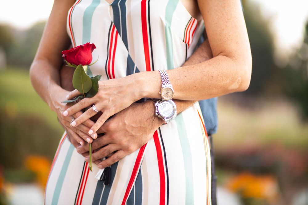 Close up of hands holding red rose with striped dress and watch visible.