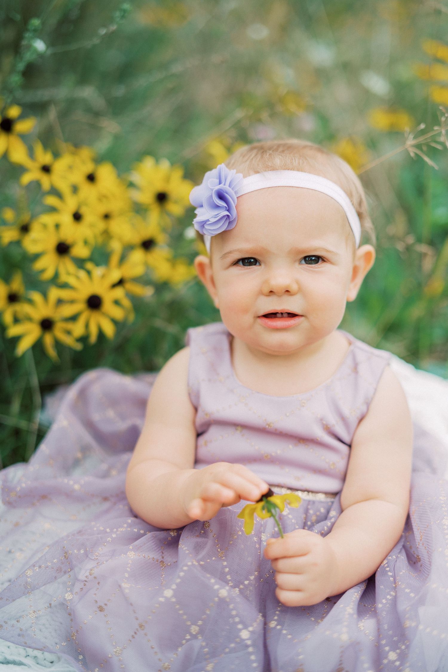 Baby wearing purple tulle dress and flower headband sits among blooming black-eyed susans.