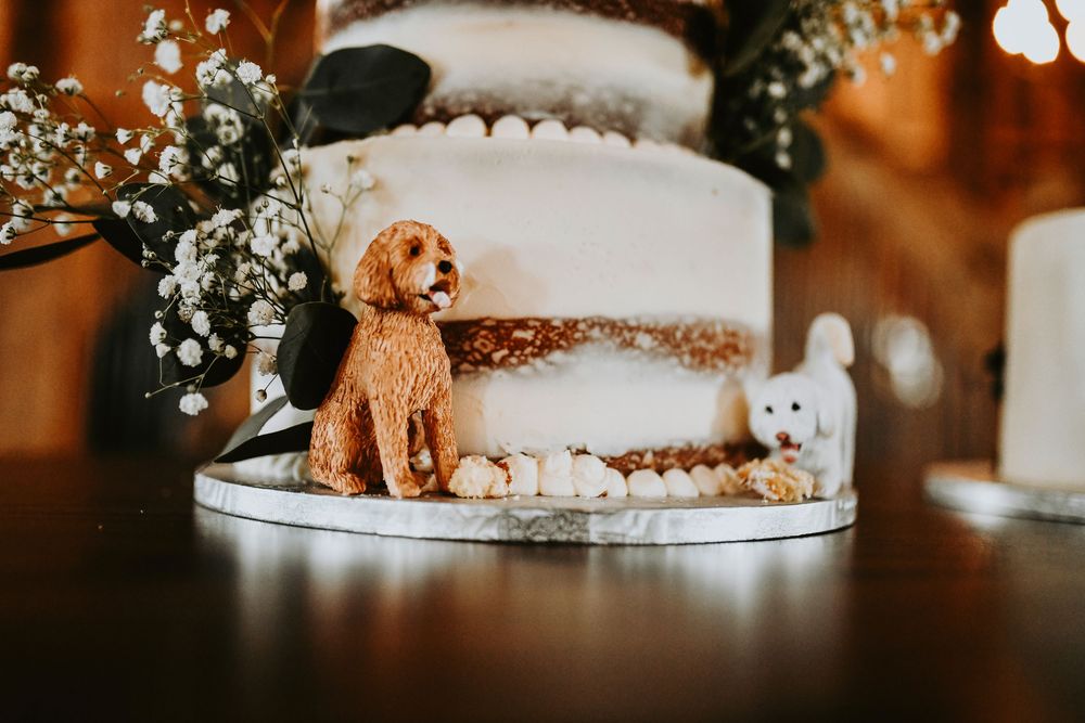 figurines that resemble the bride and grooms fur babies top their naked wedding cake as twinkling lights sparkle behind it