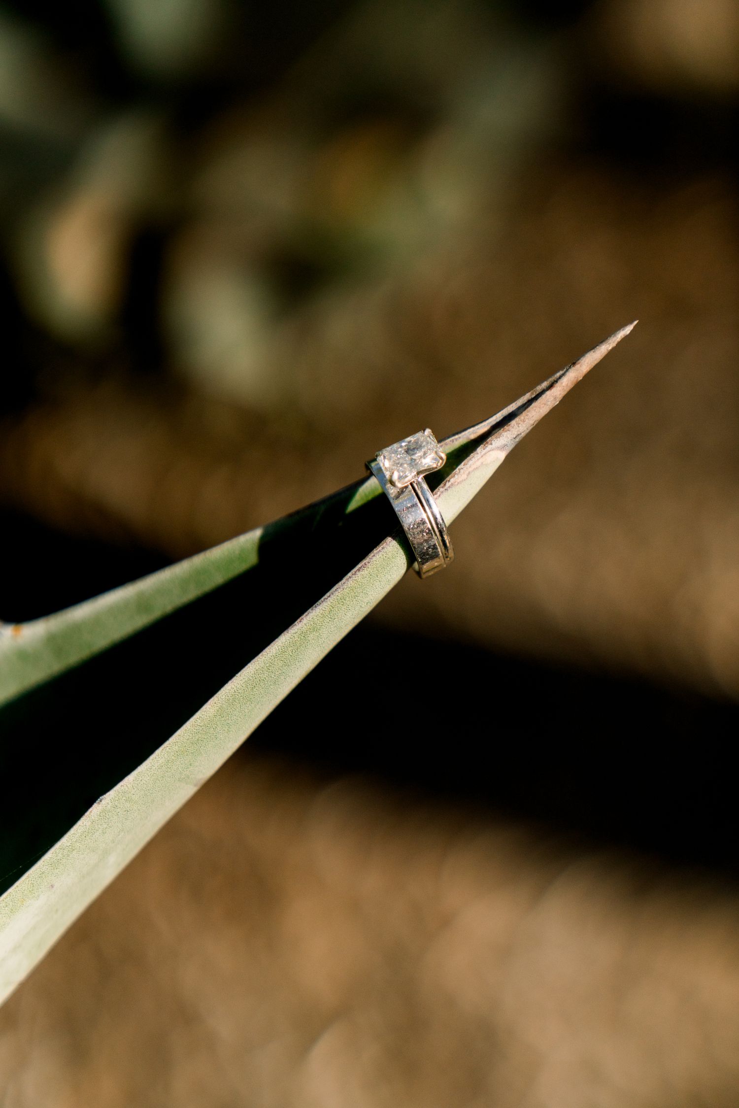 A sparkling diamond engagement ring balanced on the pointed tip of a green succulent leaf against a blurred background.