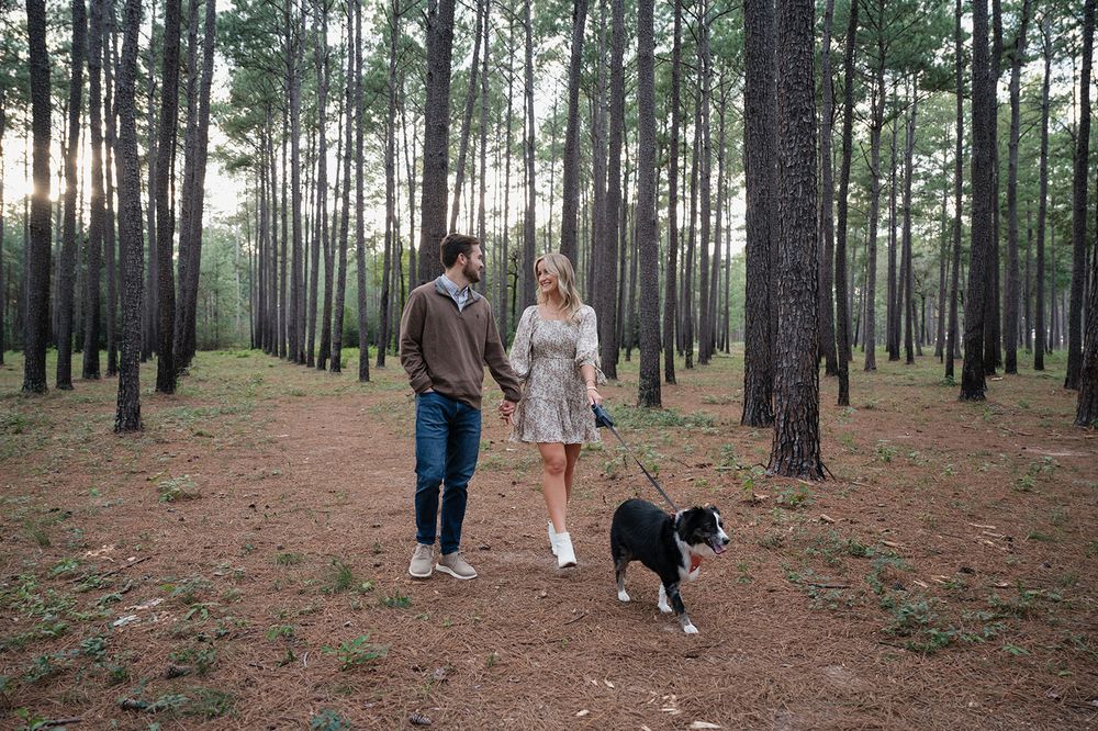 A couple walks their Border Collie dog along a trail through a serene pine forest with needles covering the ground.