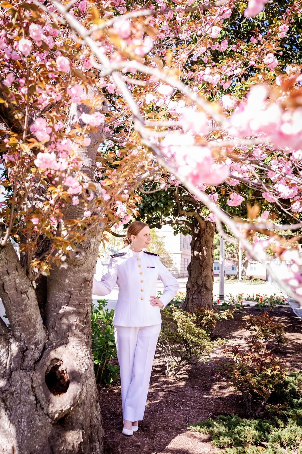 Naval officer in white uniform walks under blooming cherry blossom trees on a spring day.