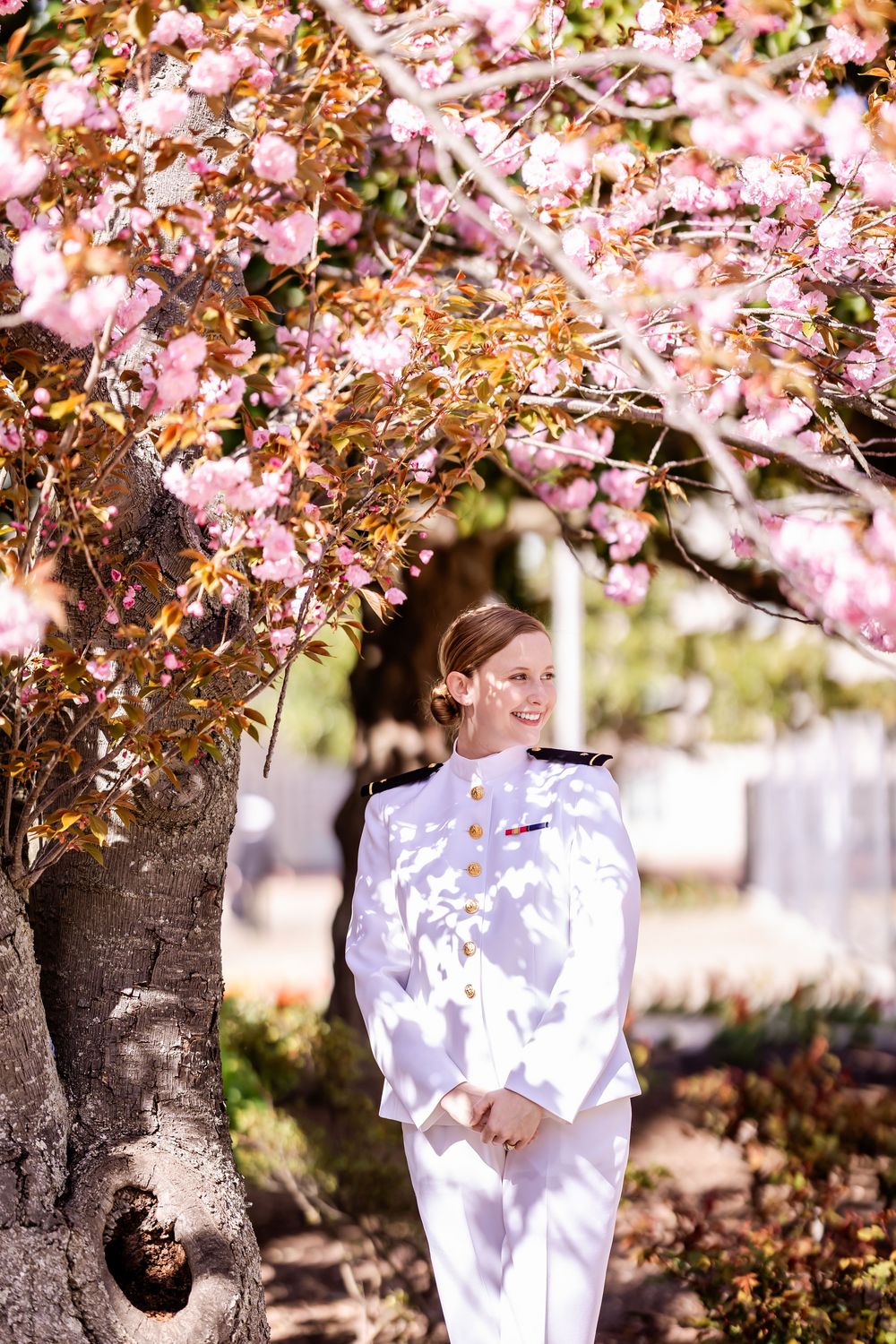 A naval officer in white uniform poses under blooming cherry blossoms on a spring day.