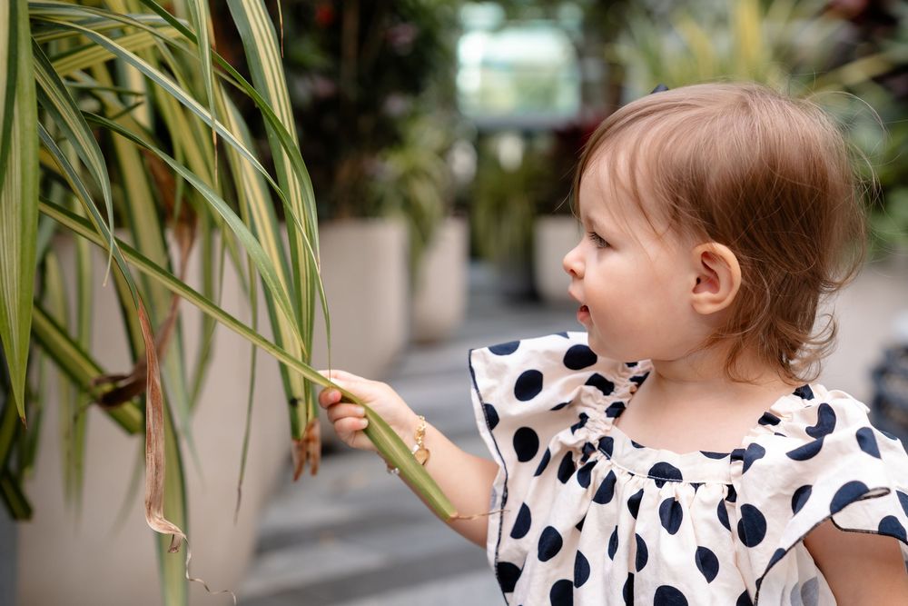 Toddler in polka dot dress reaches out to touch green plant leaves.