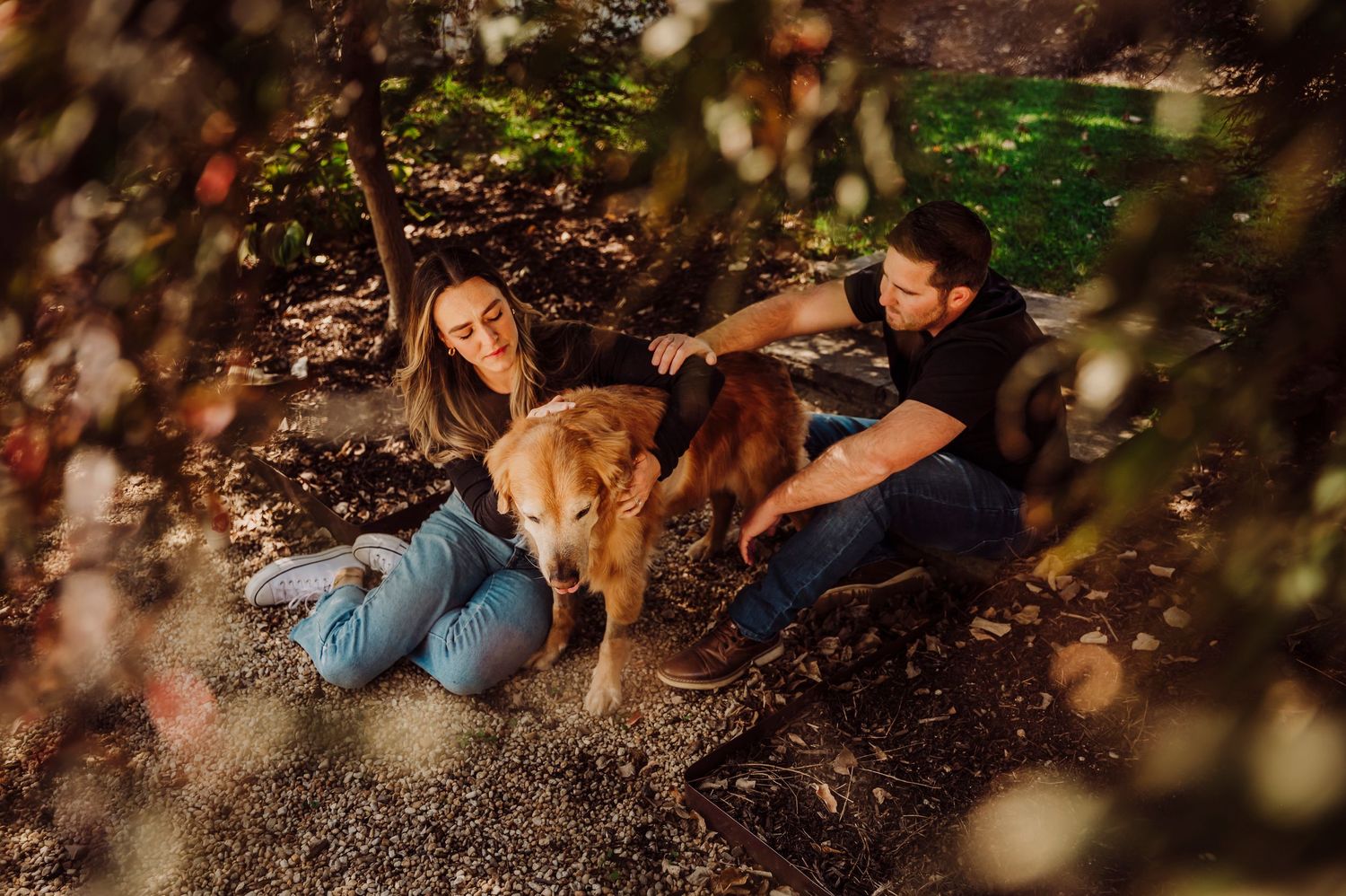 Dog end of life photo session based in middleburg va where parents snuggle with their old golden retriever with a dog photographer capturing