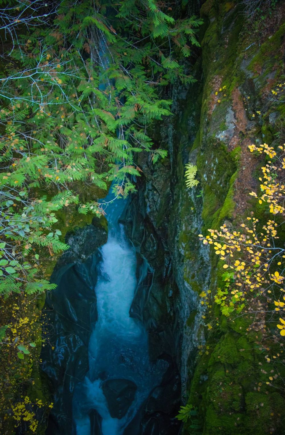 Deep blue waterfall flowing through narrow moss-covered canyon with evergreen trees.