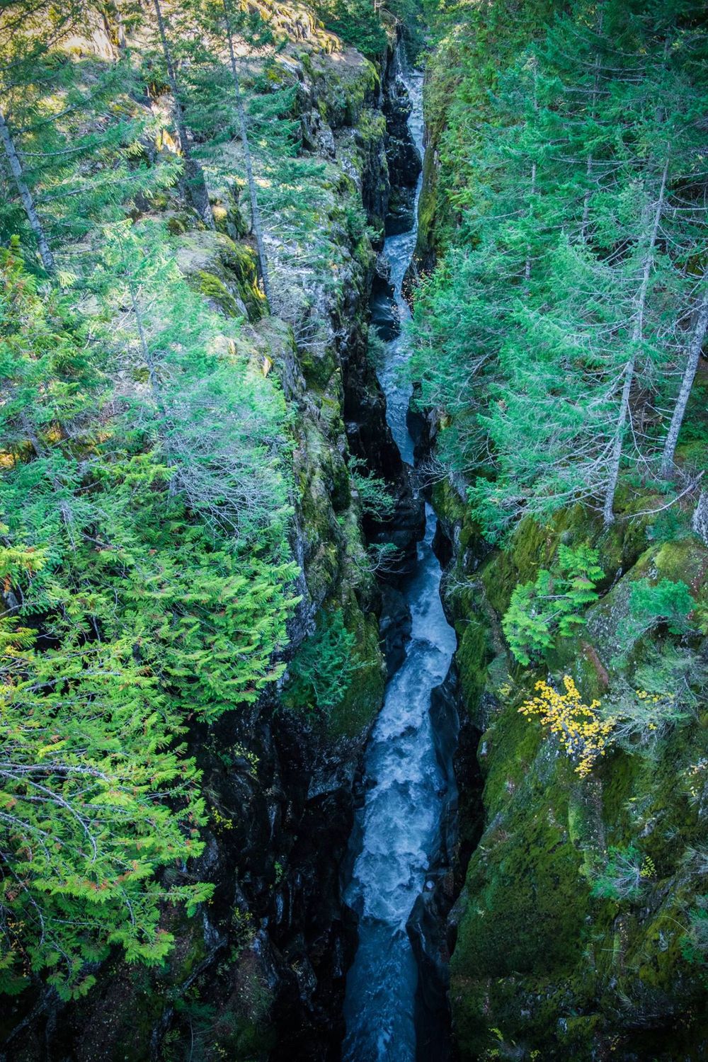 Dramatic aerial view of a narrow mountain gorge with rushing water and lush green forest surroundings.
