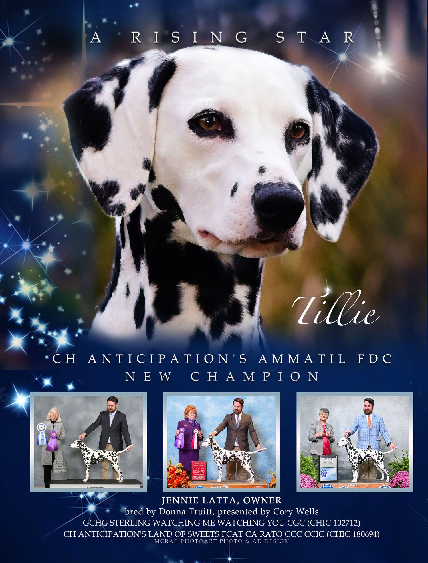 advertisement with Dalmatian headshot