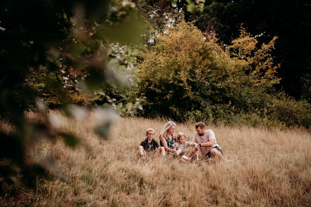 A group relaxes in a sun-drenched meadow with golden grass and autumn foliage in the background.