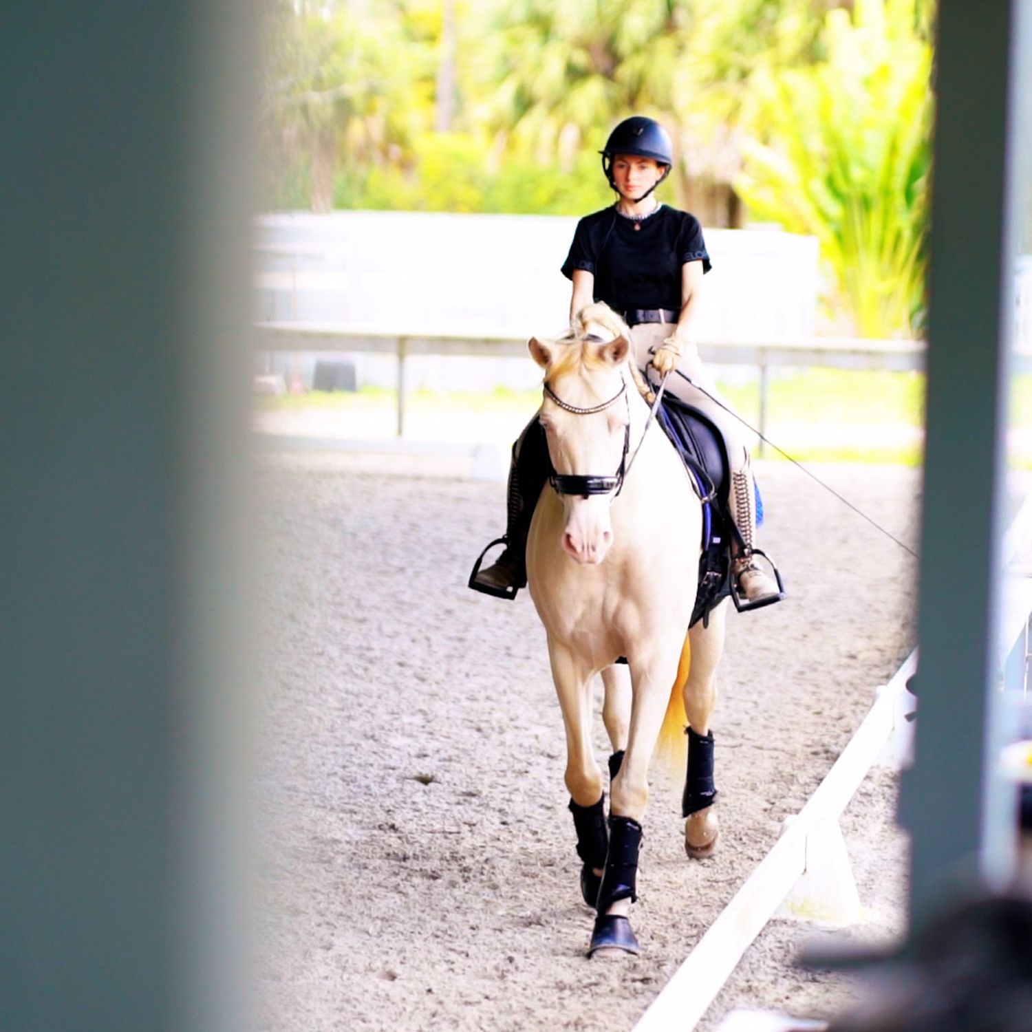 Rider in black riding a palomino horse through a covered arena walkway.