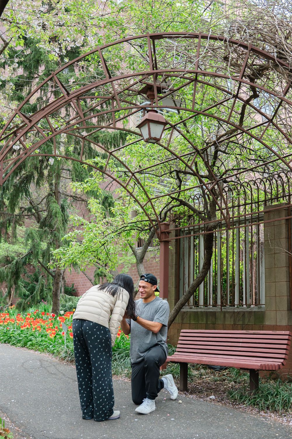 A romantic surprise proposal under a decorative garden arbor at Westside Community Garden on the UWS surrounded by spring tulips.