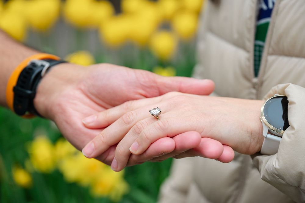 A close-up shot of hands displaying a delicate engagement ring in front of blurred yellow tulips.