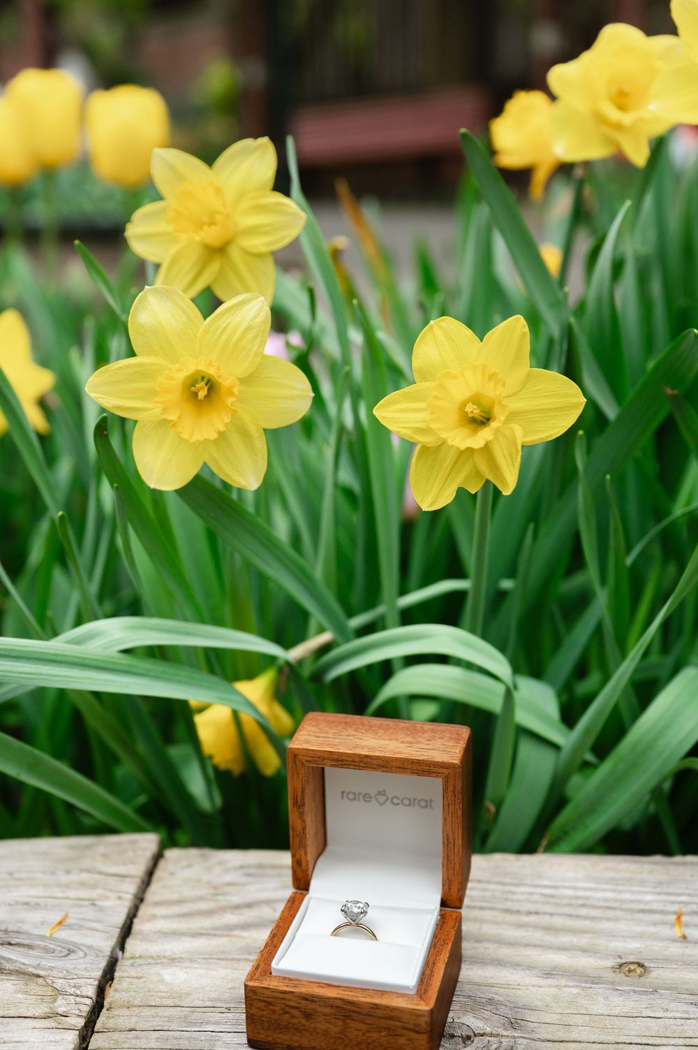 An engagement ring in a wooden box sits on a wooden deck with blooming yellow daffodils in the background during NYC spring proposal