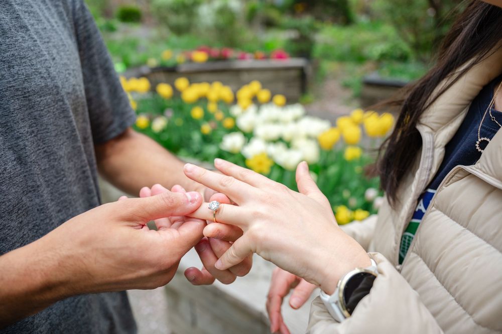 A romantic proposal moment with hands exchanging a ring in a garden with colorful flowers in the background in a UWS garden in NYC
