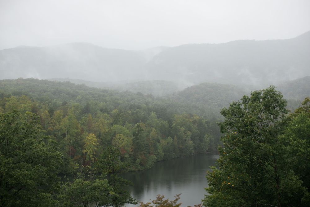 Misty mountains and dense forest surround a calm lake on an overcast day in the wilderness.