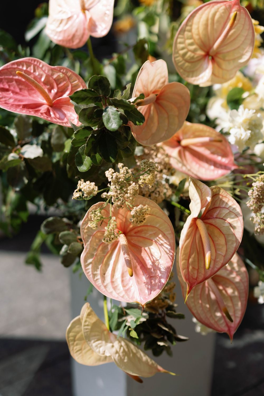 Close-up of pink anthurium flowers mixed with delicate white blooms in wedding floral arrangement.