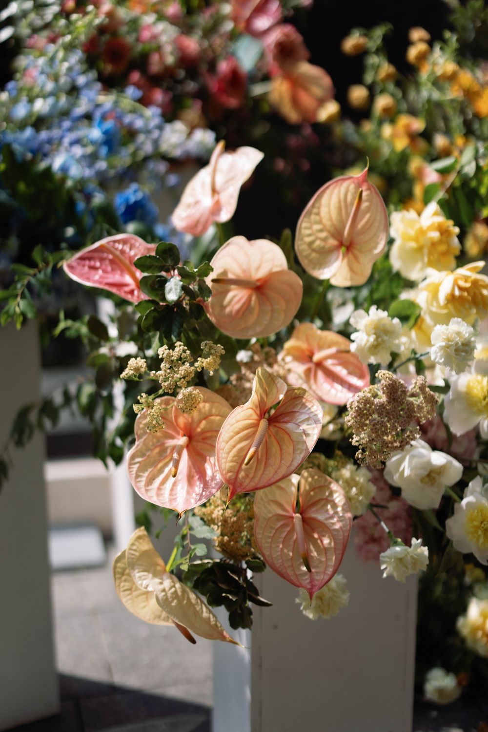 Peach-colored anthurium flowers and white blossoms arranged in white containers for wedding decor.