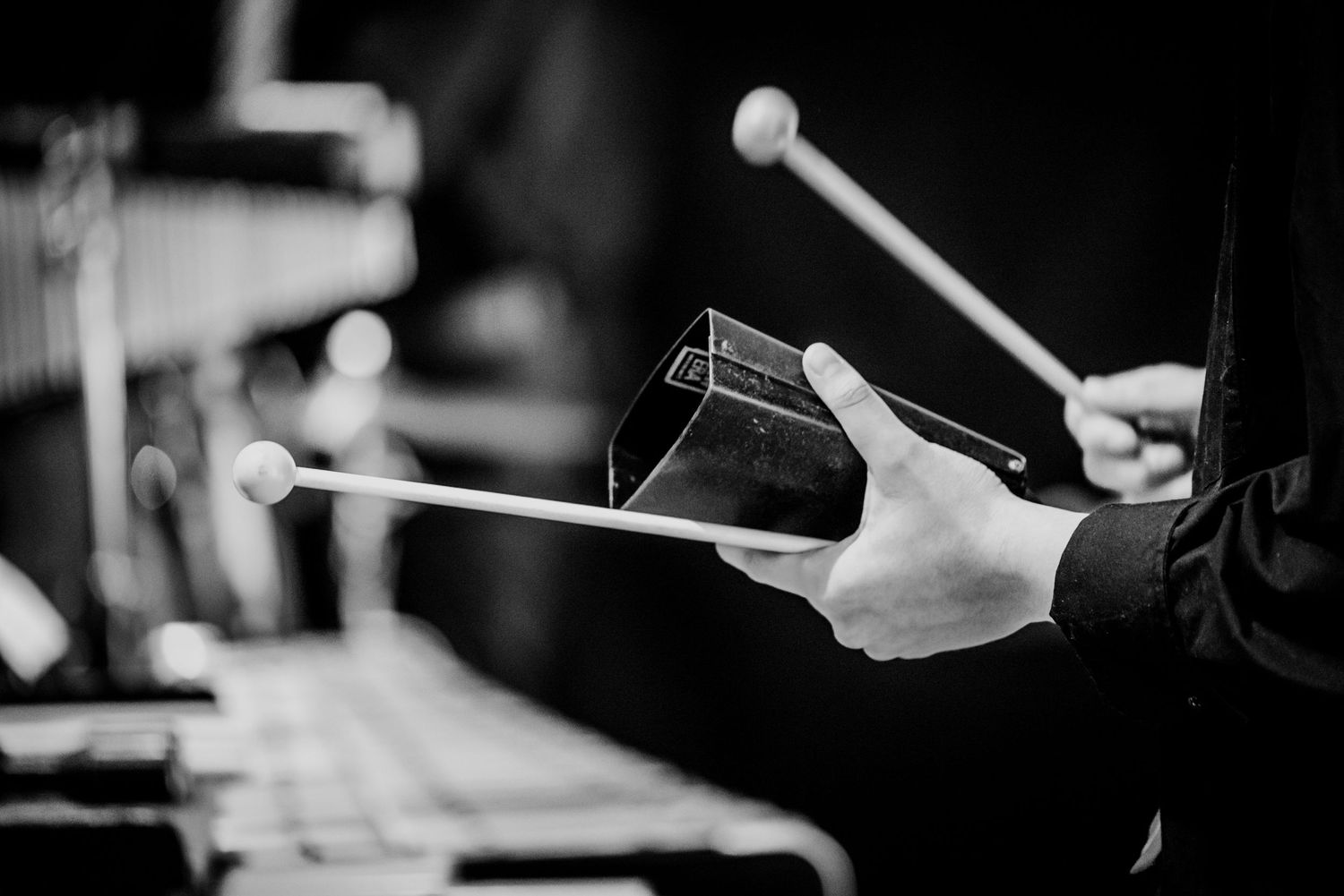 Concert, concertregistratie, concertfotografie, voorbeeld foto, muziek, blijvende herinneringen