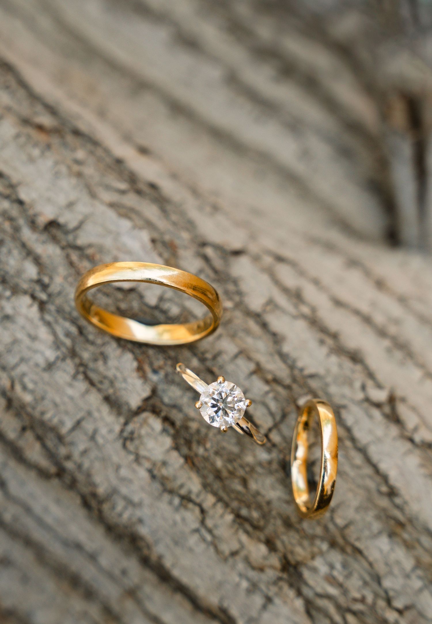 Gold wedding bands and diamond solitaire engagement ring artfully arranged on rustic tree bark.