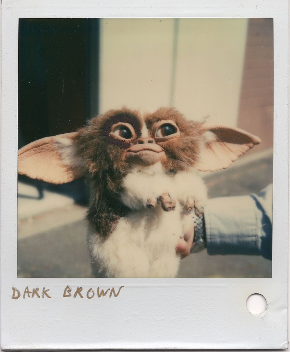 Mogwai Puppet with early furring design