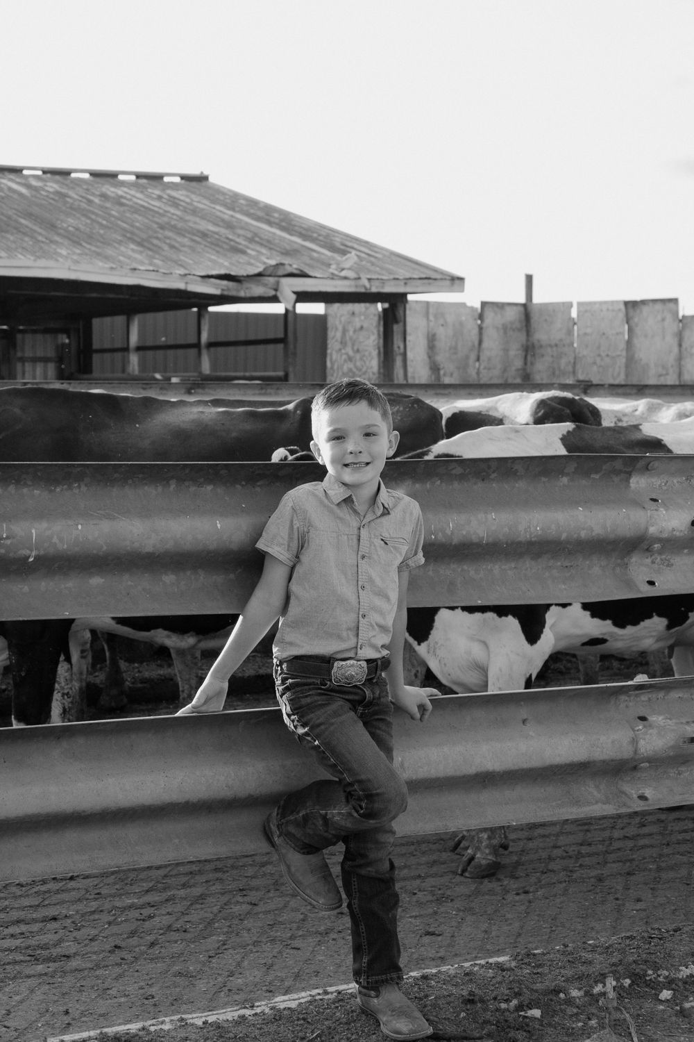 A young child in casual attire sits on metal railings at a dairy farm.