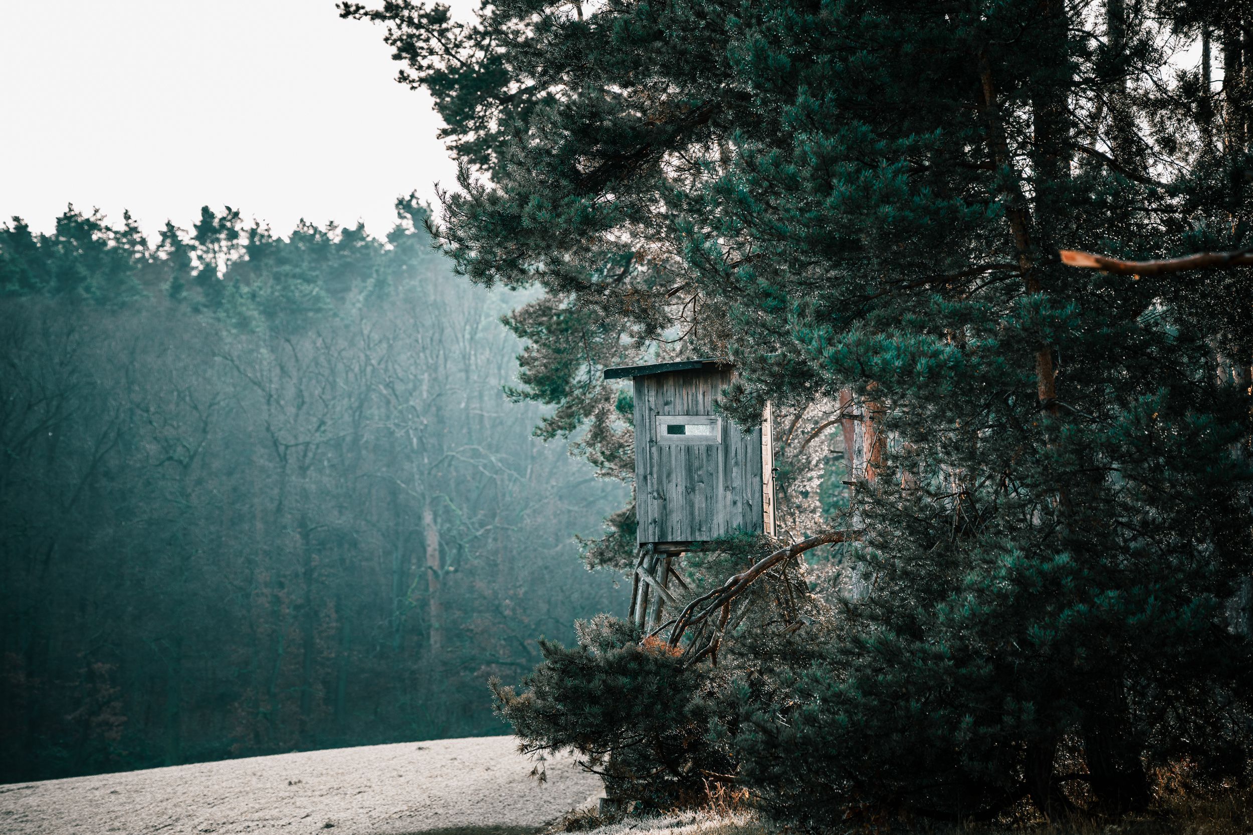 Ein Hochsitz am Waldrand bei Halberstadt im Morgennebel, Waldfotografie von Hesses Horizon