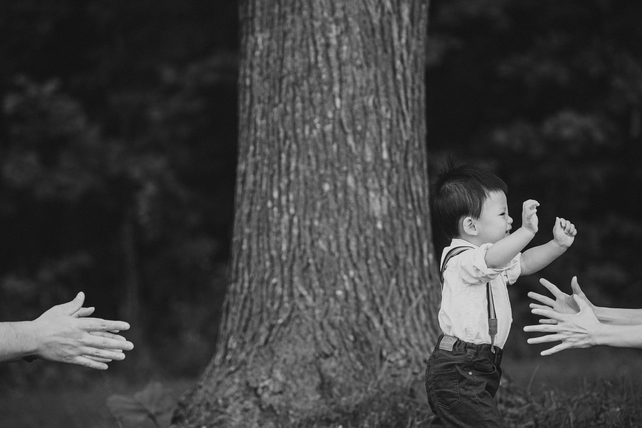 Black and white photo showing loving hands reaching out to catch a jumping child near a large tree trunk.