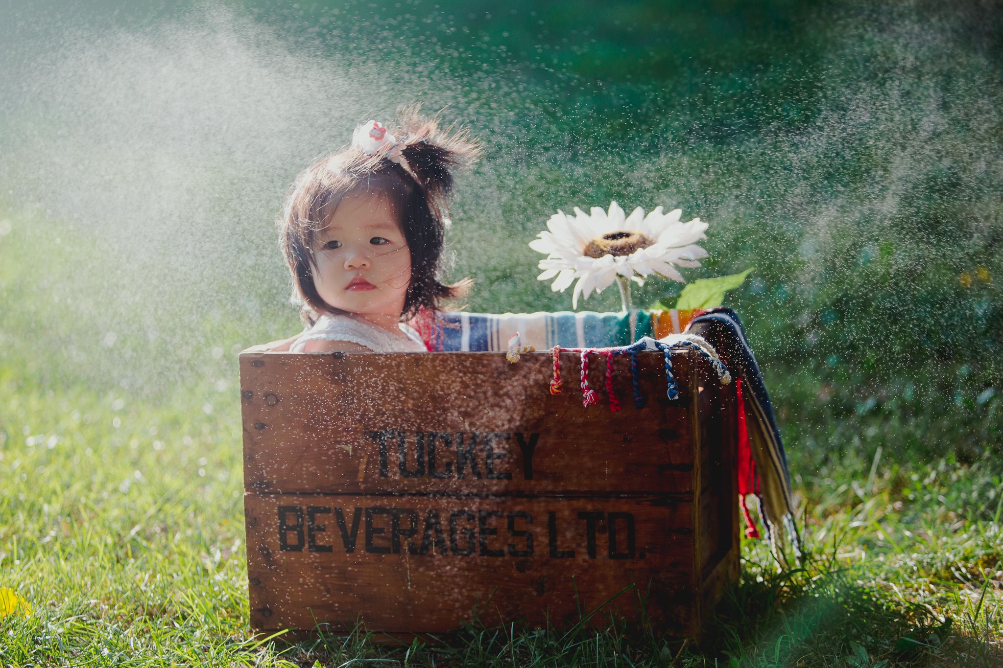 A rustic wooden beverage crate with a white daisy flower sits in sunlit grass with magical bokeh lighting effects.
