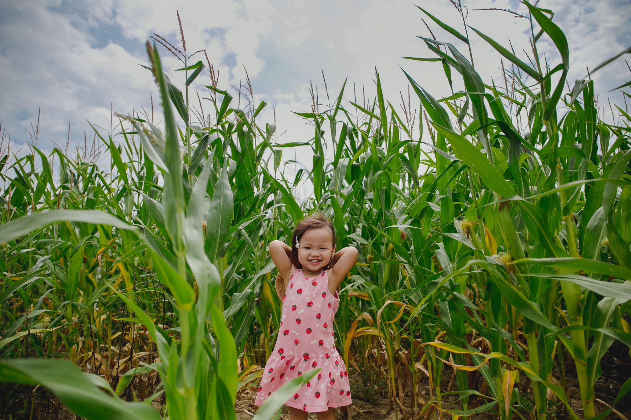 A joyful figure in a pink polka dot dress stands among tall green corn stalks reaching toward a cloudy summer sky.