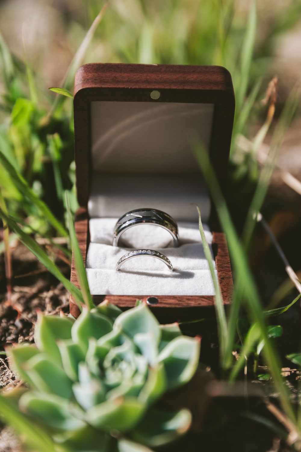 Two silver wedding rings nestled in a wooden ring box surrounded by succulents.