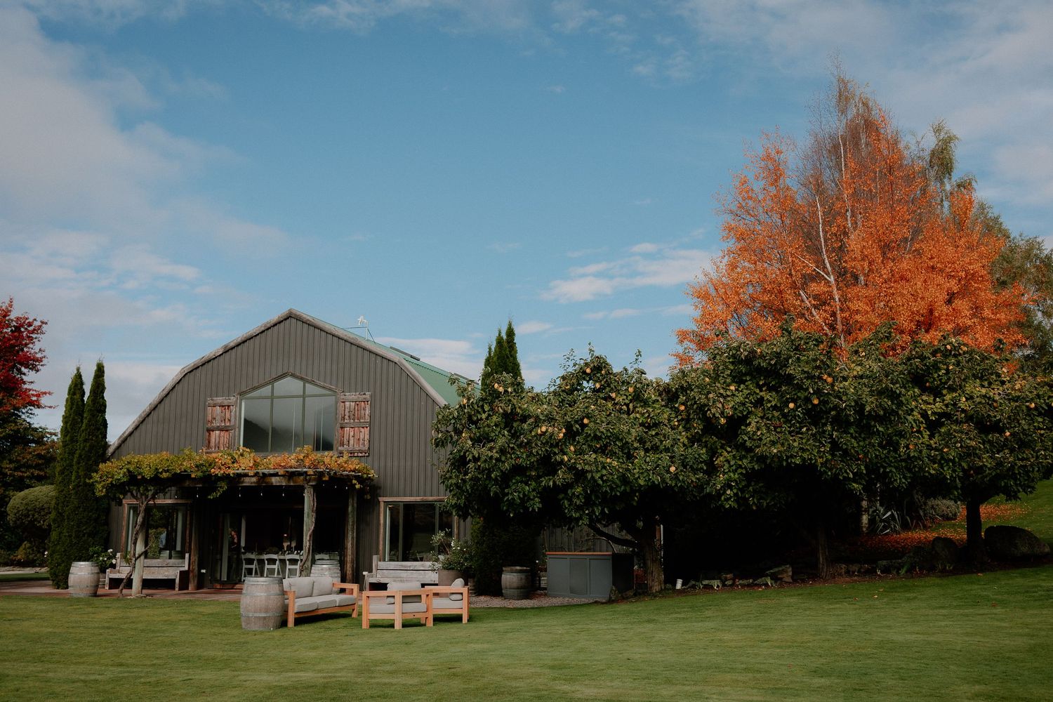 A panoramic view of a rural vineyard landscape with autumn trees and farm buildings under a bright blue sky.