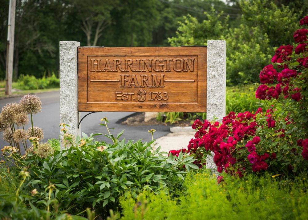 Wooden Harrington Hill Estates entrance sign surrounded by vibrant red flowers and lush greenery.