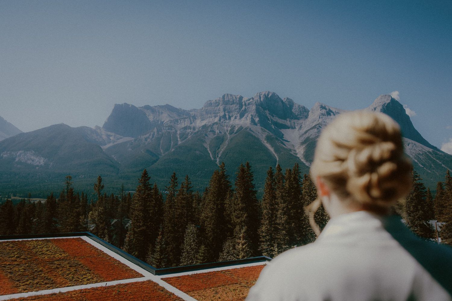 Bride with scenic mountain backdrop in Canmore, Alberta, featuring lush pine trees and a vibrant green roof garden under clear blue skies.