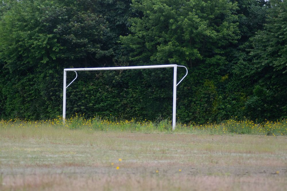 But du terrain de foot du Lycée Frédéric Ozanam à Cesson-Sévigné