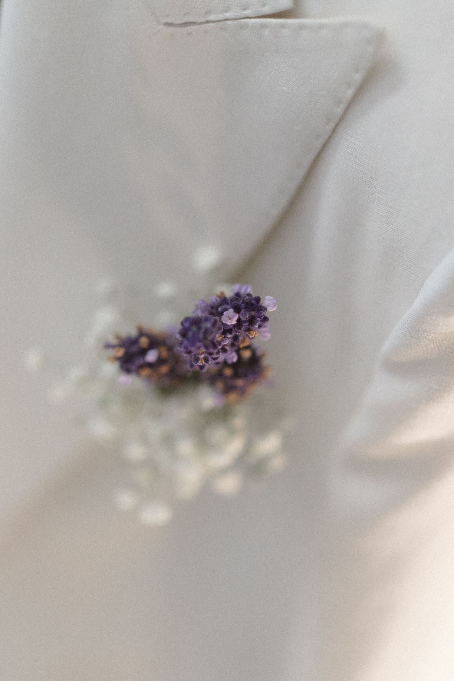 A series of purple amethyst crystal clusters arranged in a gradient fade against a soft white background.