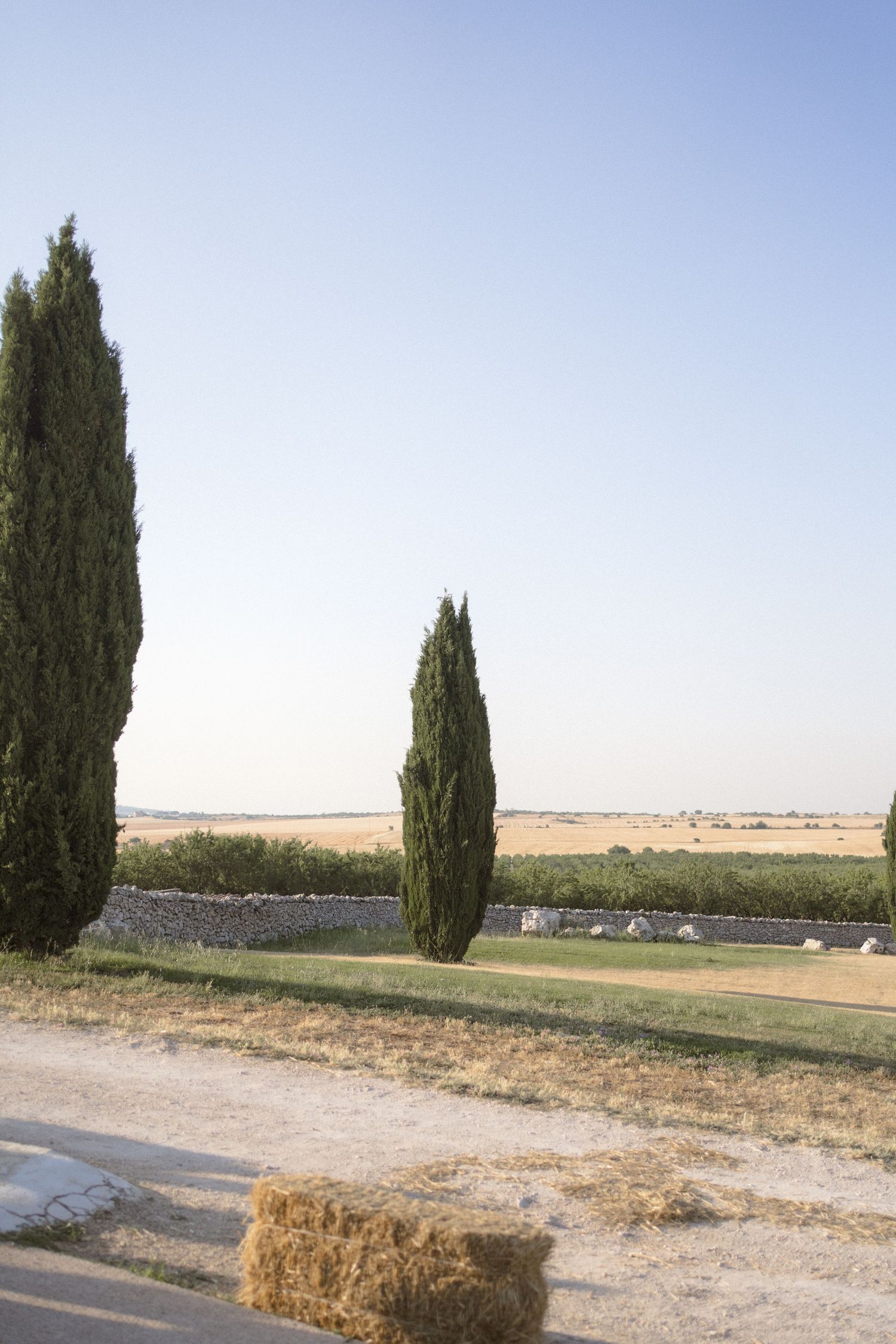 Row of tall cypress trees line a rural road with hay bales and fields in an Italian countryside landscape.