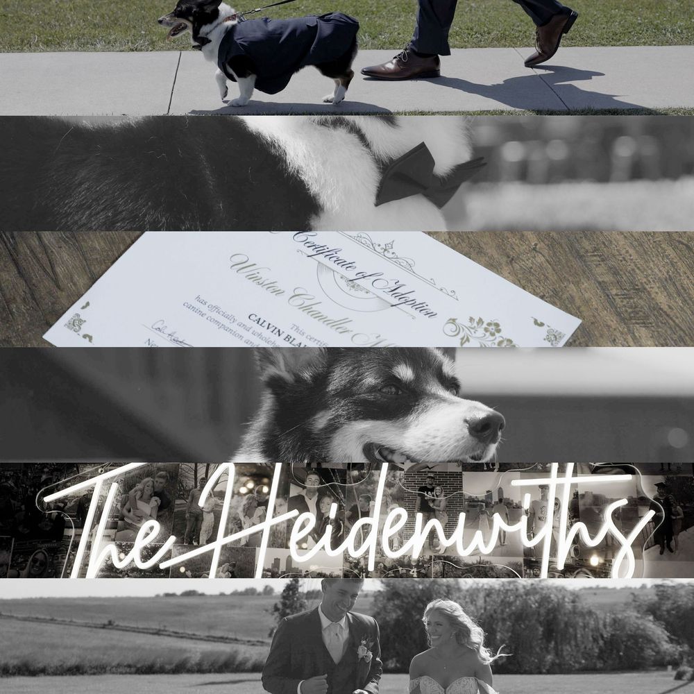 Black and white wedding collage featuring a husky dog and invitation details.