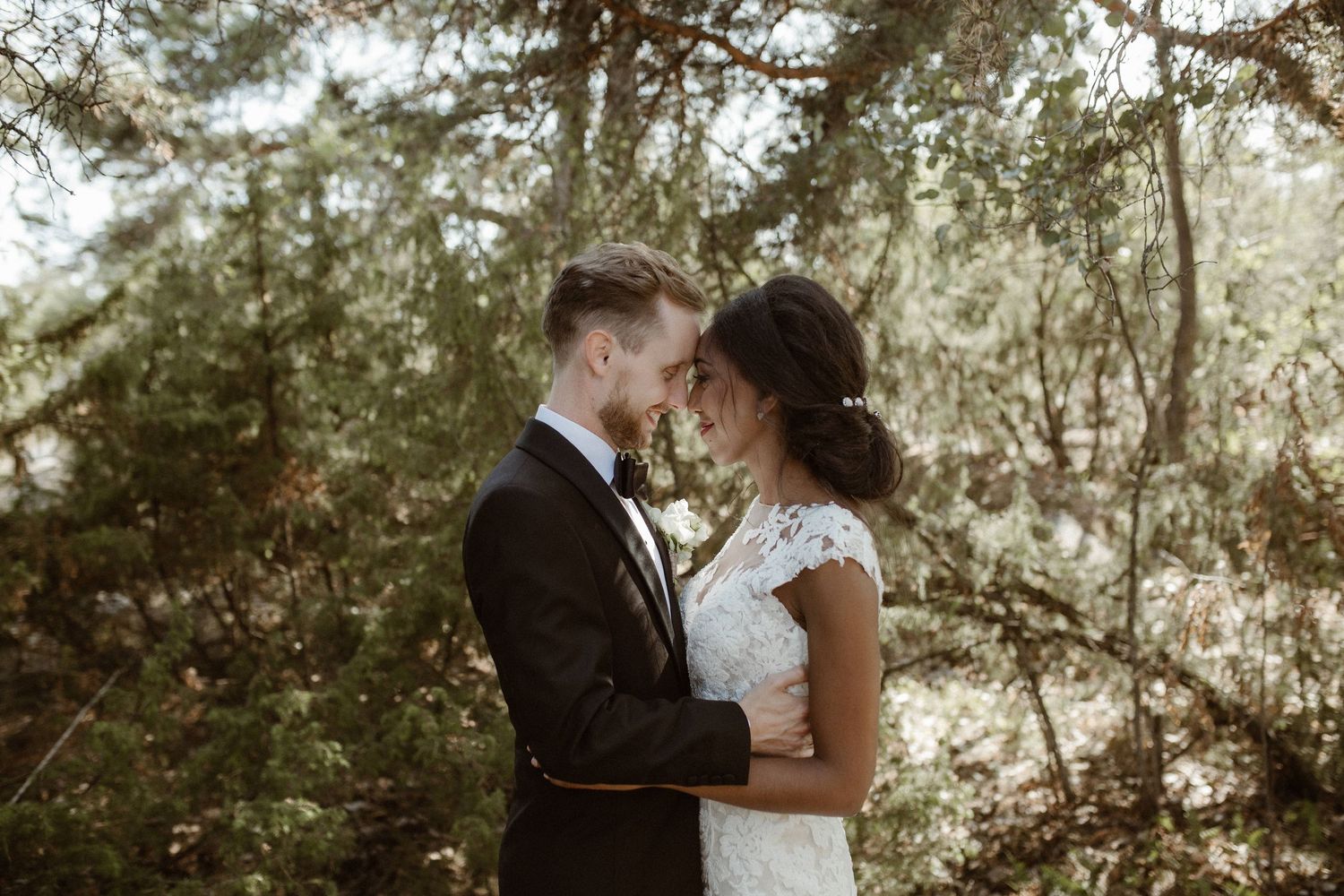 Romantic wedding couple embraces in a sunlit forest setting with dreamy lighting.