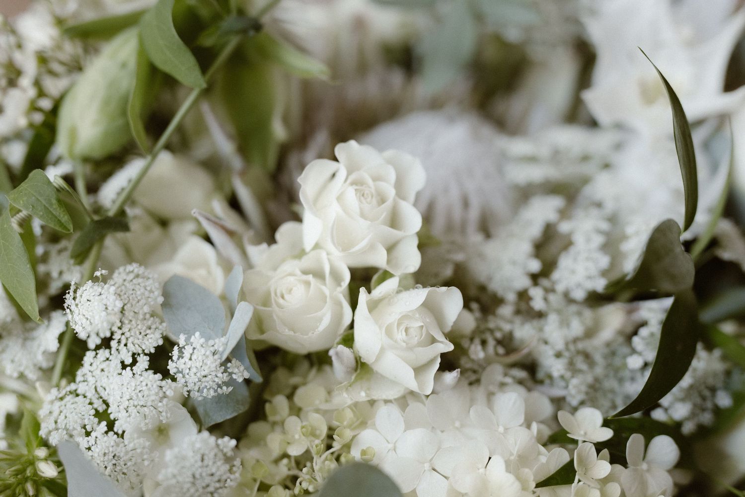 Delicate white roses and baby's breath create an elegant wedding bouquet arrangement.