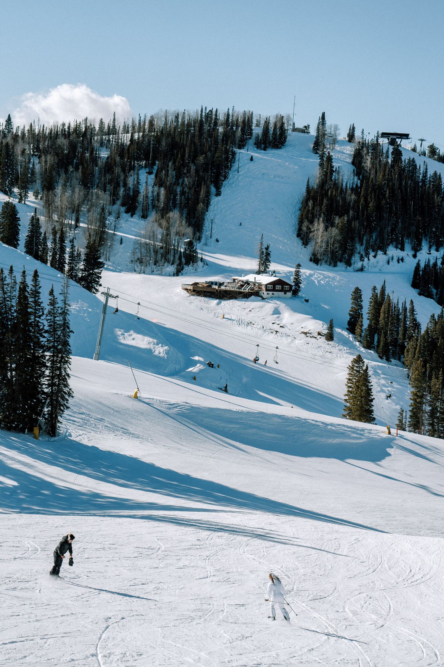 Two skiers descending a snowy slope surrounded by tall evergreen trees on a bright winter day in the mountains.