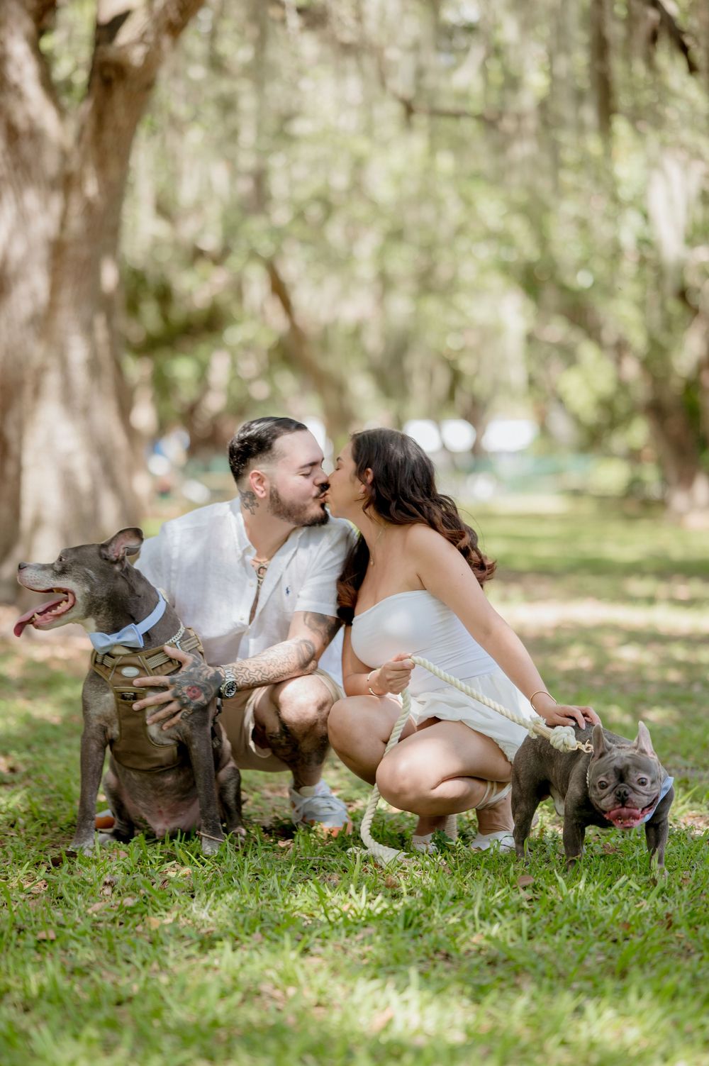 A couple shares a romantic moment in a park setting with their two dogs under Spanish moss draped trees.