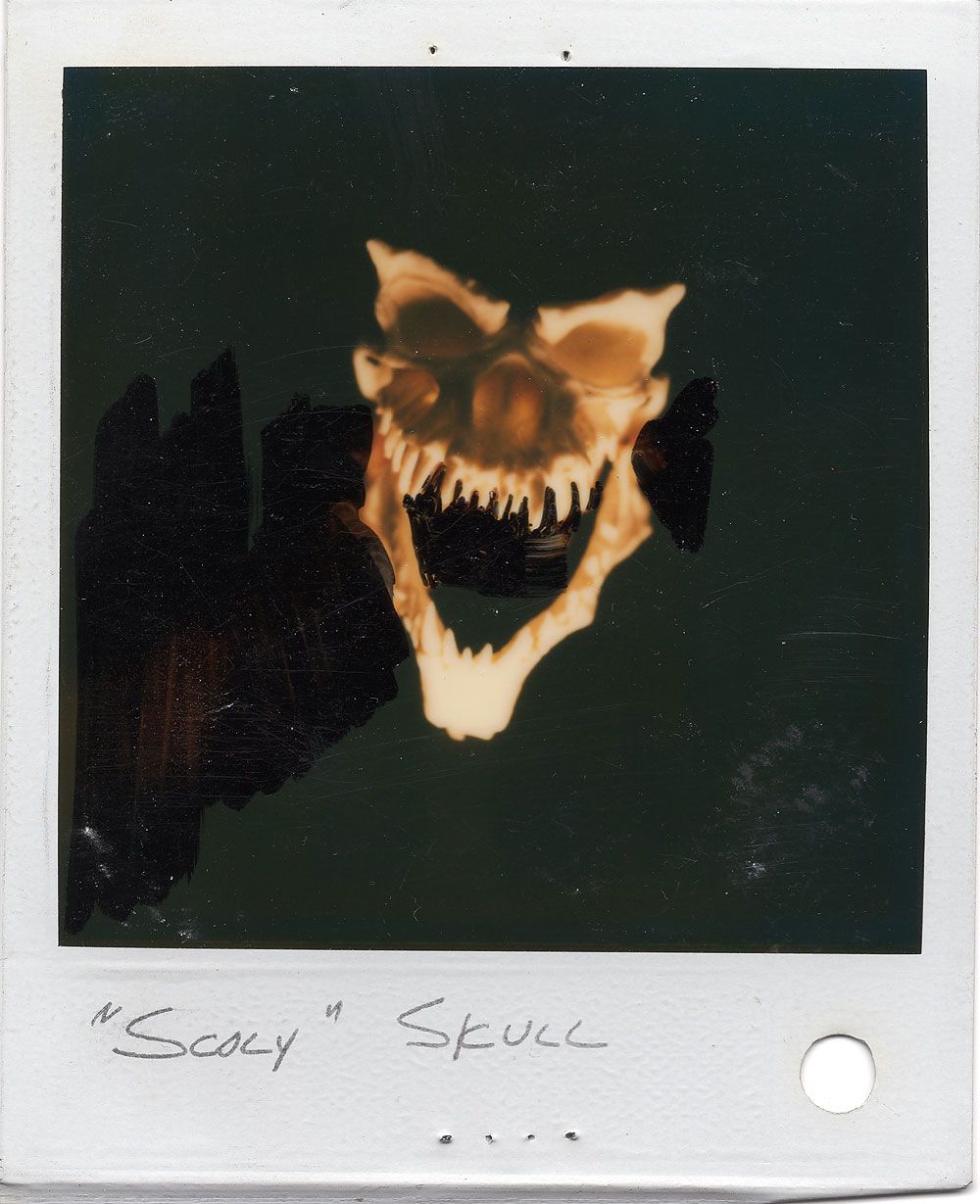 Gremlin skull